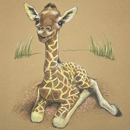 Image of Commissioned Drawing - Colored Pencils