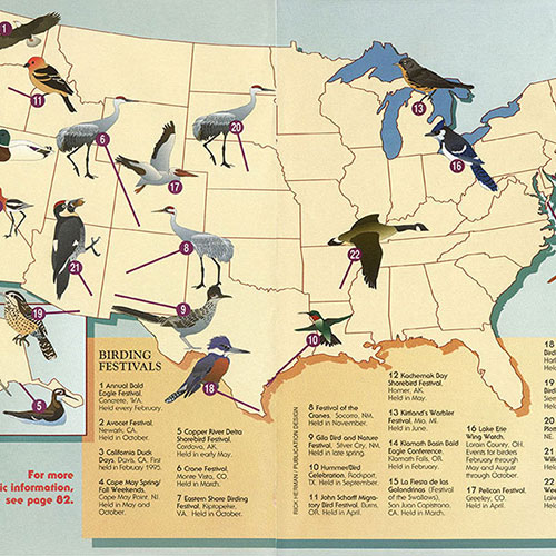 Image of Magazine - Birding Festivals