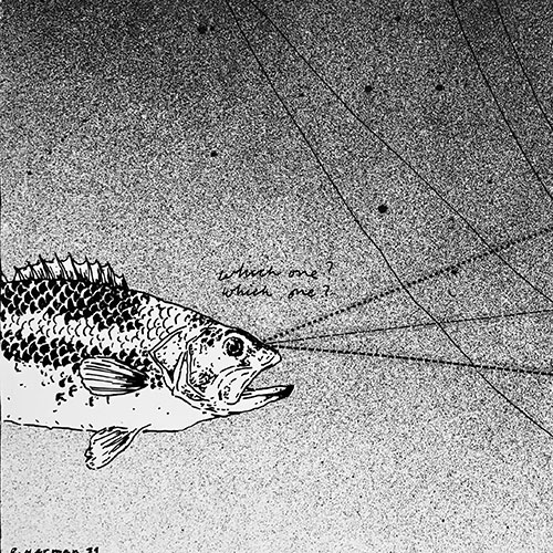 Image of Magazine - Fish Can Tell