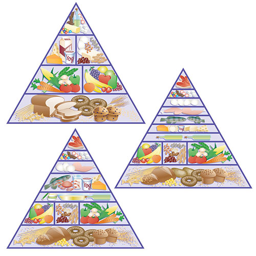 Image of Middle School Health Book
